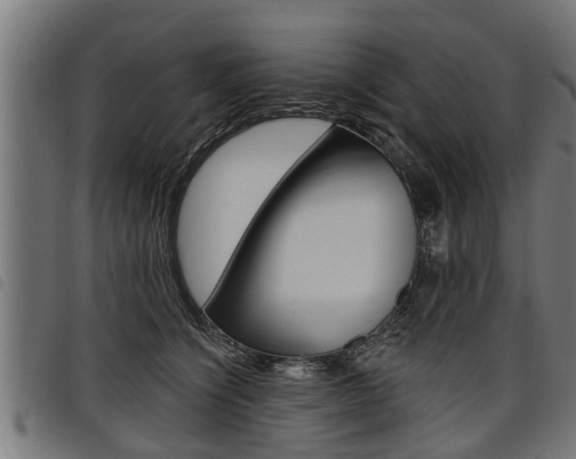 X0000098010564200803280733