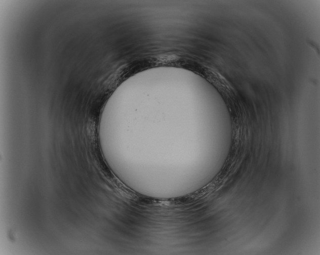 X0000098010565200803280733