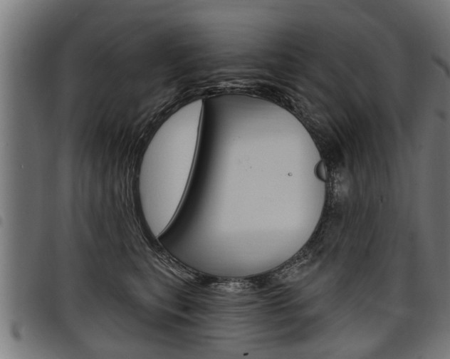 X0000098010567200803280733