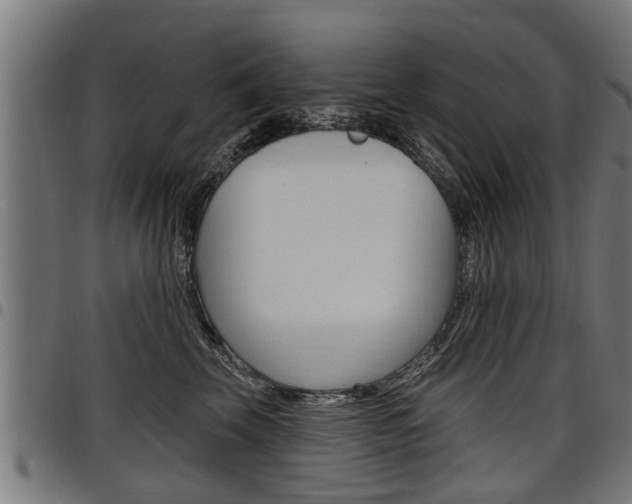 X0000098010569200803280733