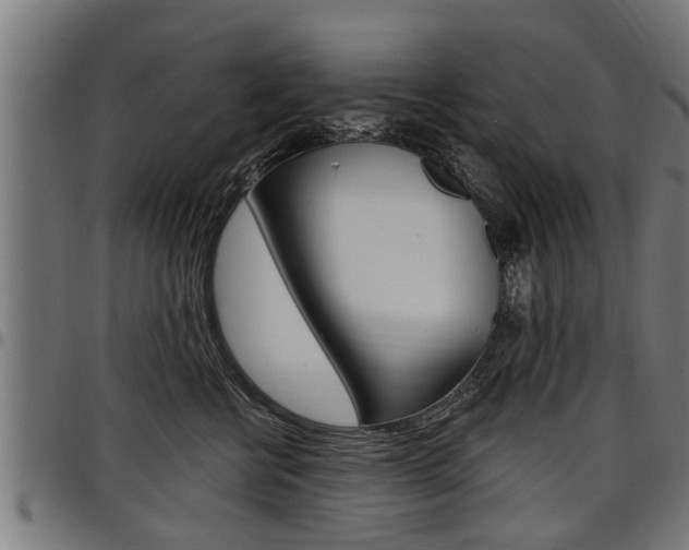 X0000098010570200803280733