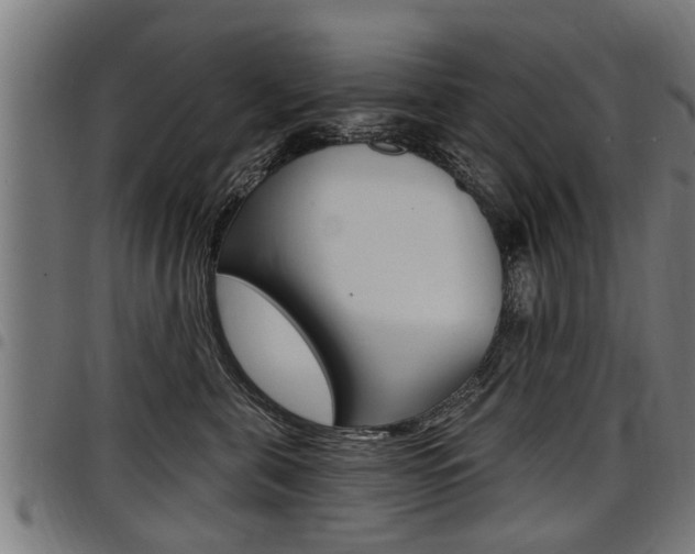 X0000098010571200803280733