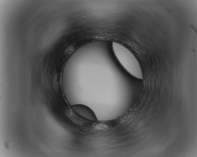 X0000098010572200803280733
