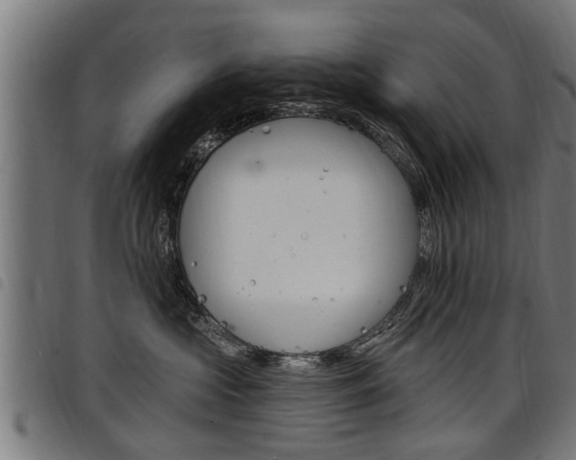 X0000098010573200803280733