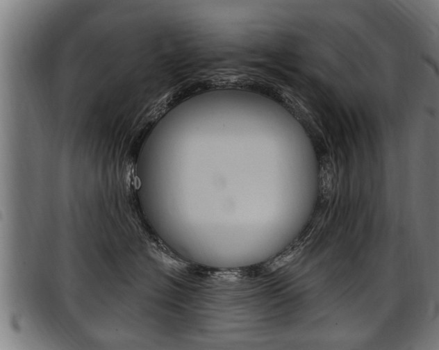 X0000098010574200803280733