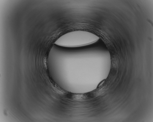 X0000098010575200803280733