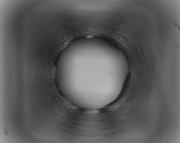 X0000098010576200803280733