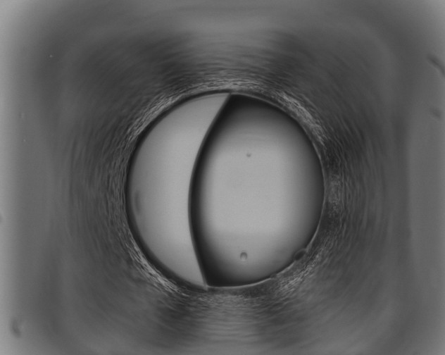 X0000098010577200803280732