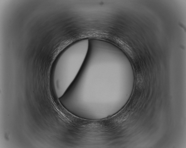 X0000098010578200803280732