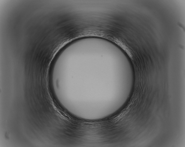 X0000098010580200803280732