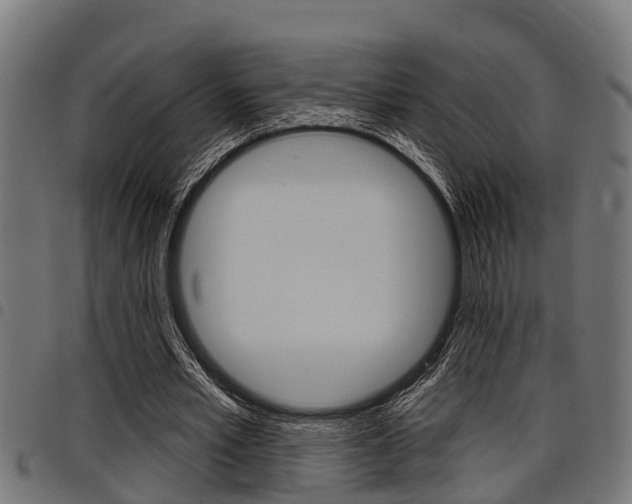 X0000098010581200803280732