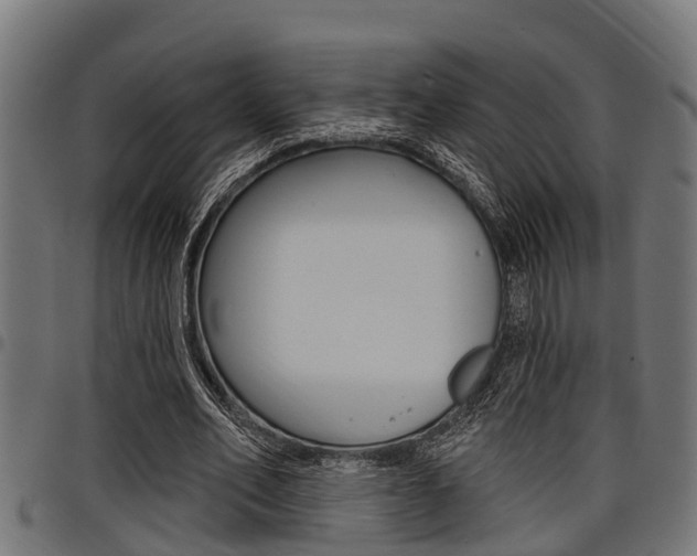 X0000098010582200803280732