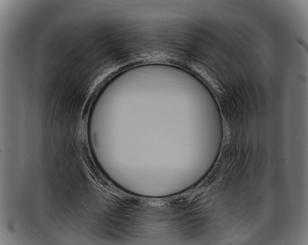 X0000098010583200803280732