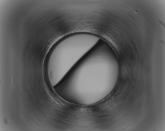 X0000098010584200803280732