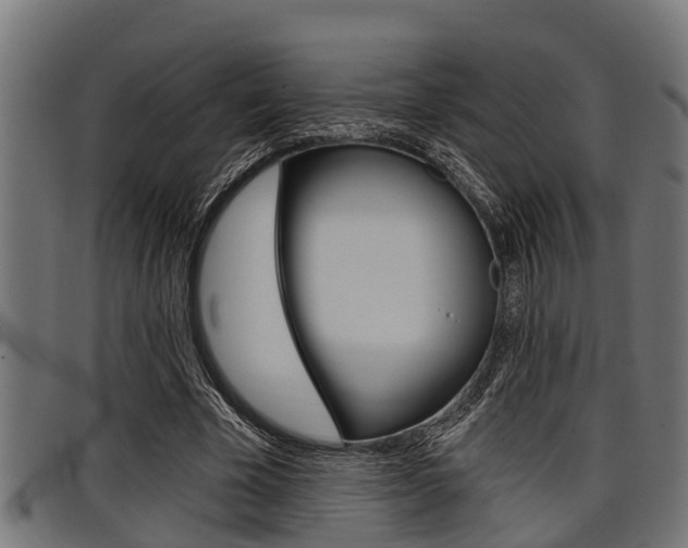 X0000098010585200803280732