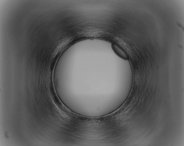 X0000098010586200803280732