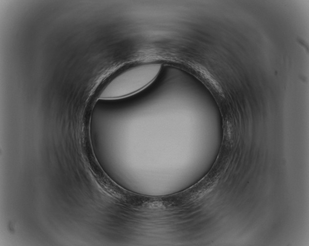 X0000098010588200803280732