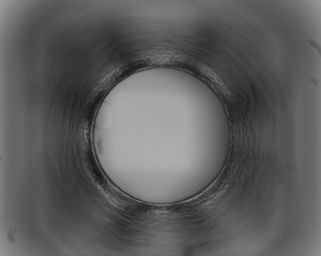 X0000098010590200803280732