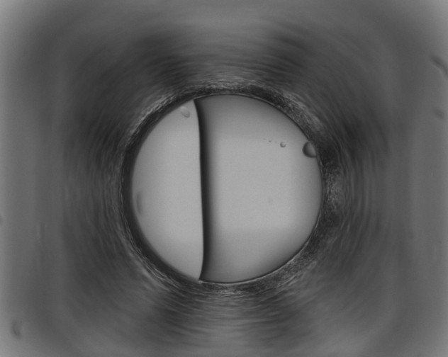 X0000098010591200803280732