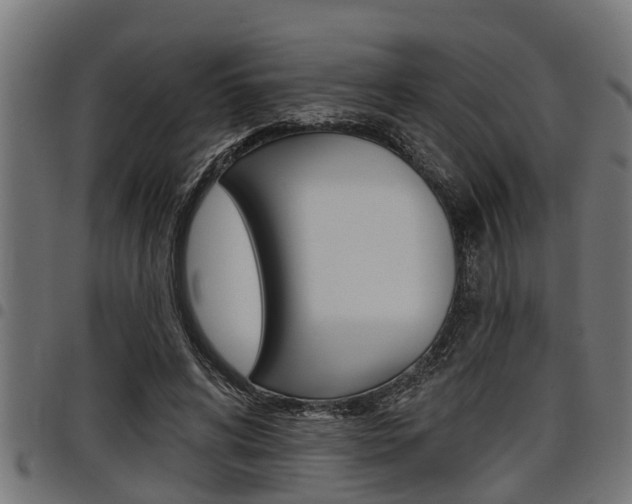 X0000098010592200803280732
