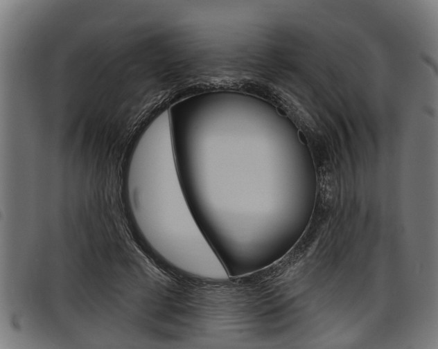 X0000098010593200803280732