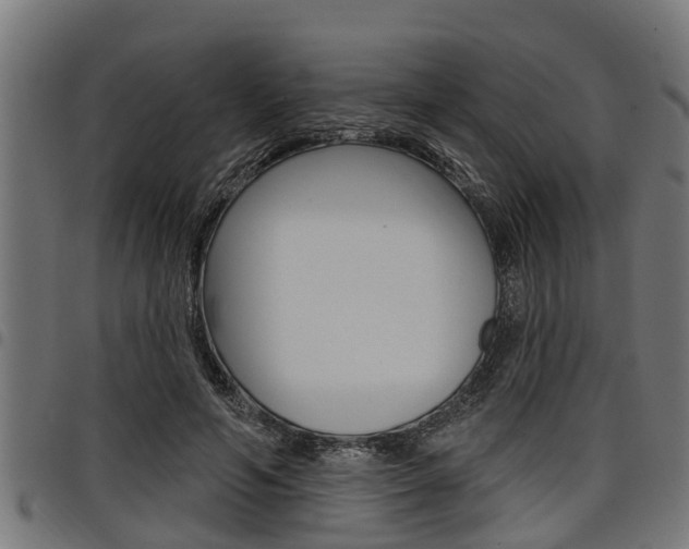 X0000098010594200803280732