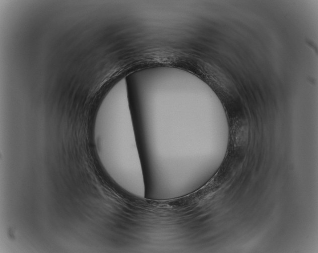 X0000098010595200803280732