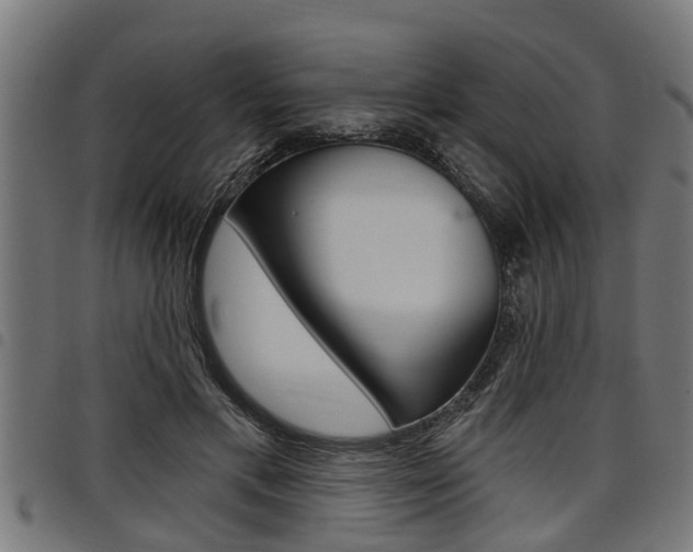 X0000098010597200803280732