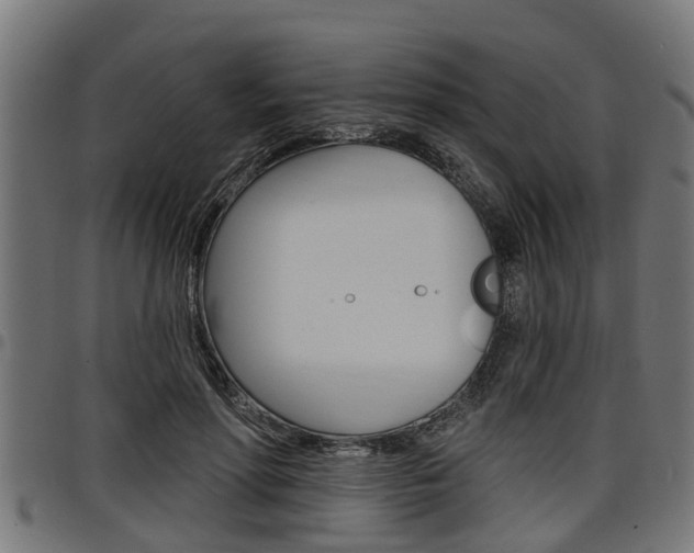 X0000098010598200803280732