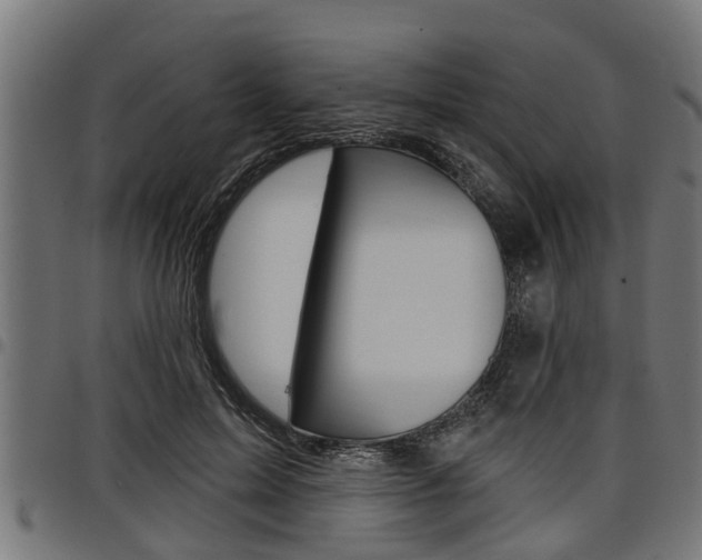X0000098010599200803280732