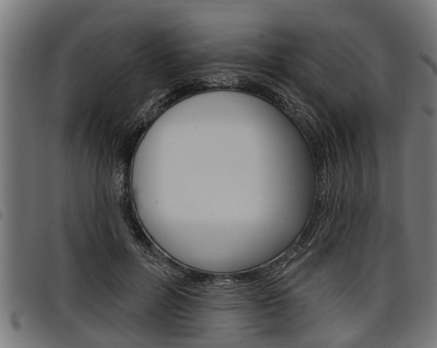 X0000098010600200803280732