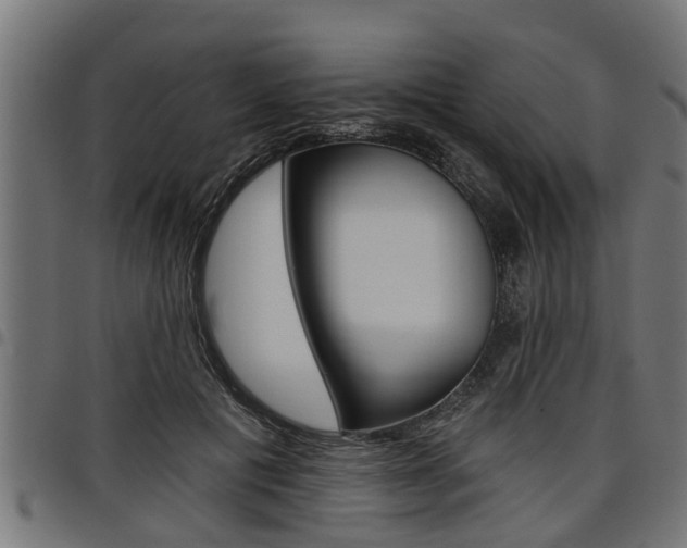 X0000098010601200803280732