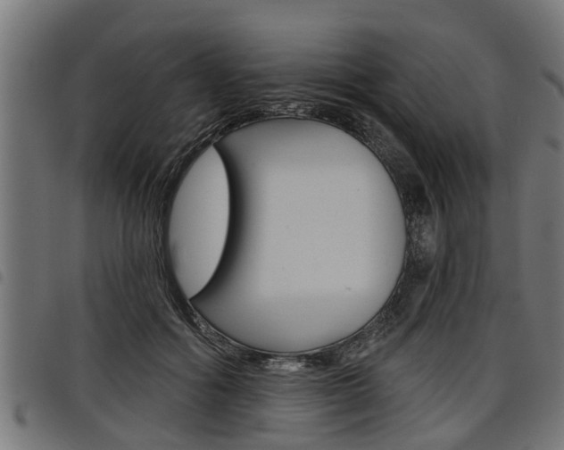 X0000098010602200803280732