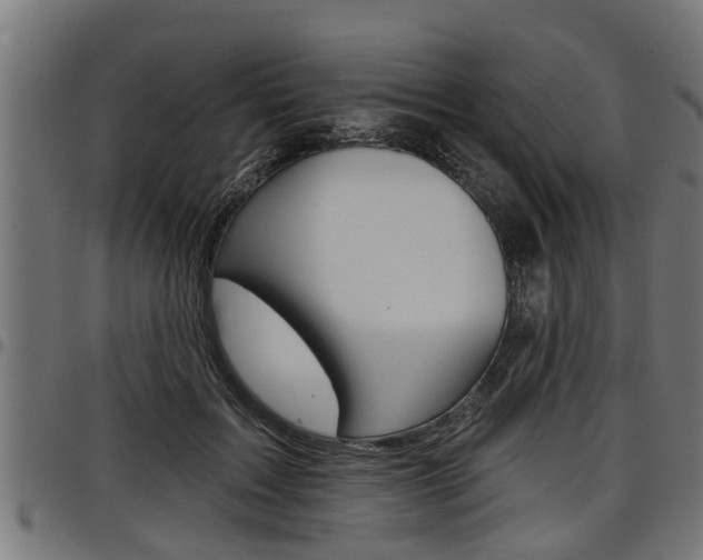 X0000098010603200803280732