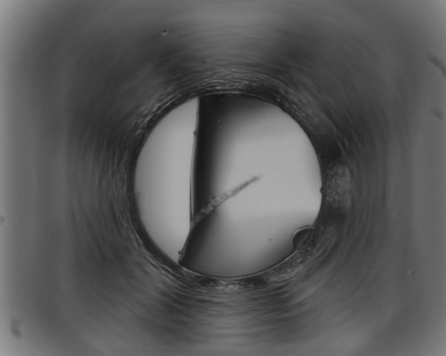 X0000098010604200803280732