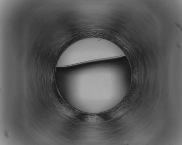 X0000098010605200803280732