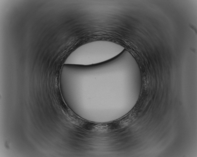 X0000098010606200803280732