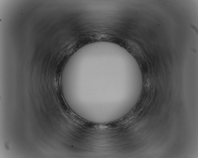 X0000098010607200803280732