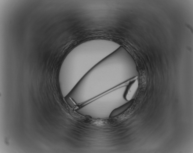 X0000098010611200803280732