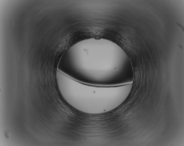 X0000098010613200803280732