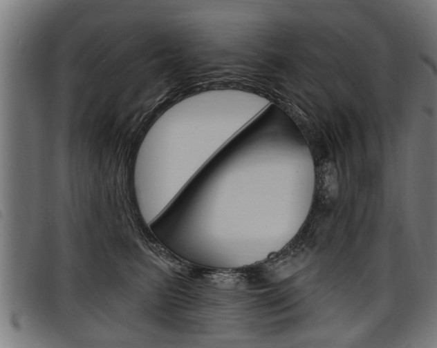 X0000098010615200803280732