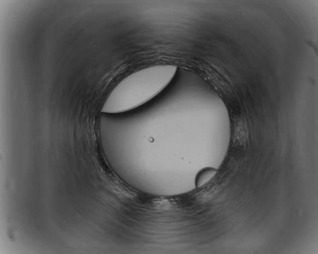 X0000098010616200803280732