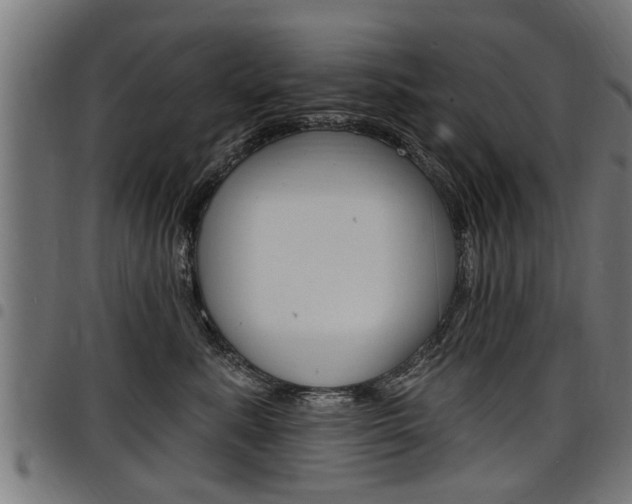 X0000098010619200803280732