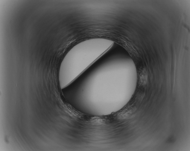 X0000098010620200803280732