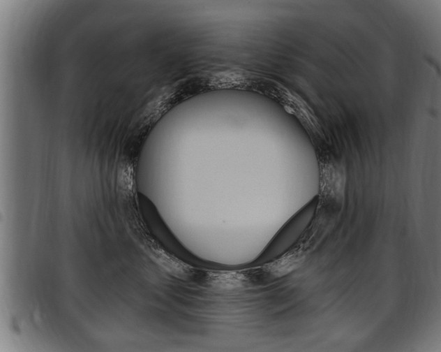 X0000098010621200803280732