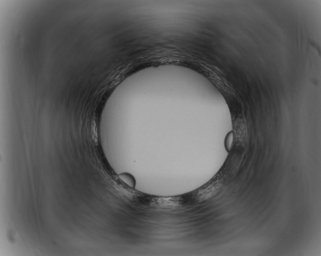 X0000098010622200803280732