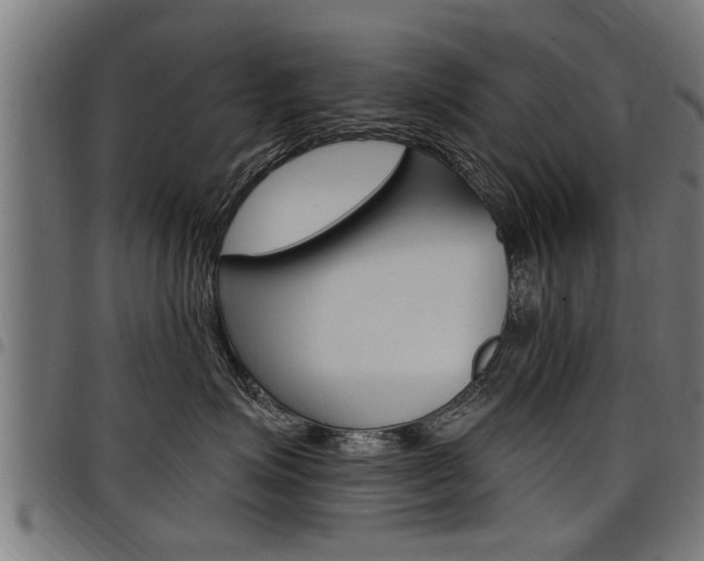 X0000098010623200803280732