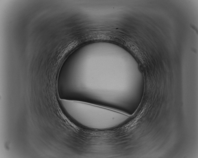 X0000098010625200803280731