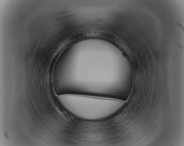 X0000098010626200803280731