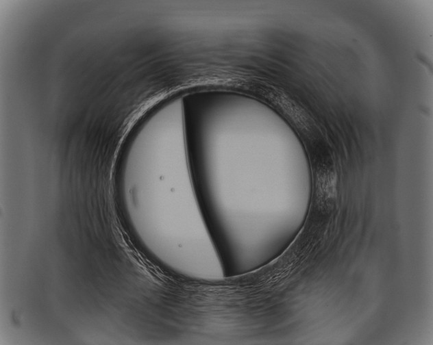 X0000098010628200803280731